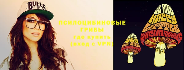 гидра Покровск
