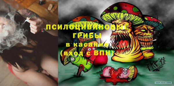 гидра Покровск