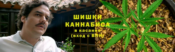 гидра Покровск
