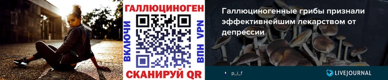 Купить где Кандалакша Галлюциногенные грибы прущие грибы
